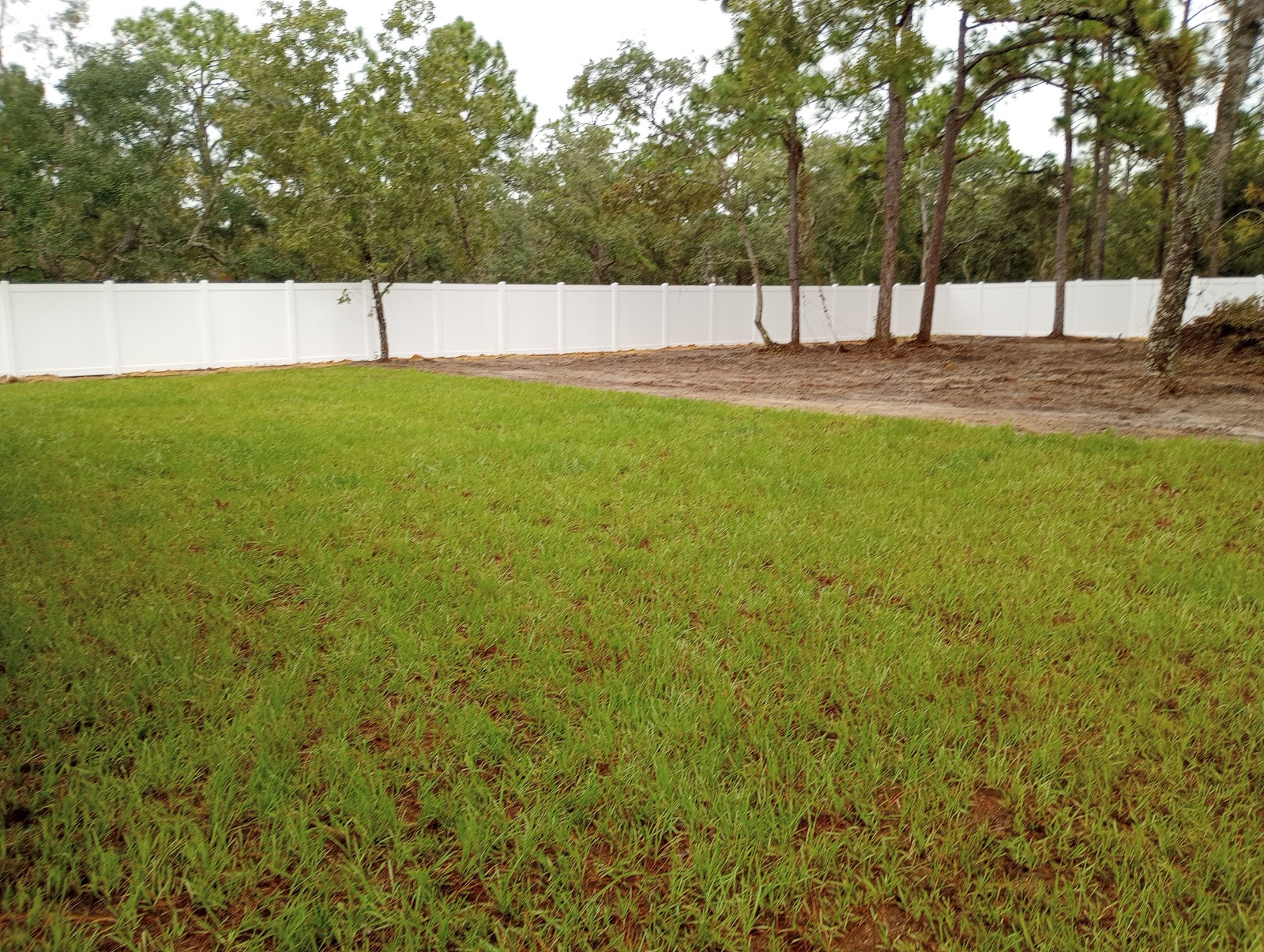 Zeus fence inc